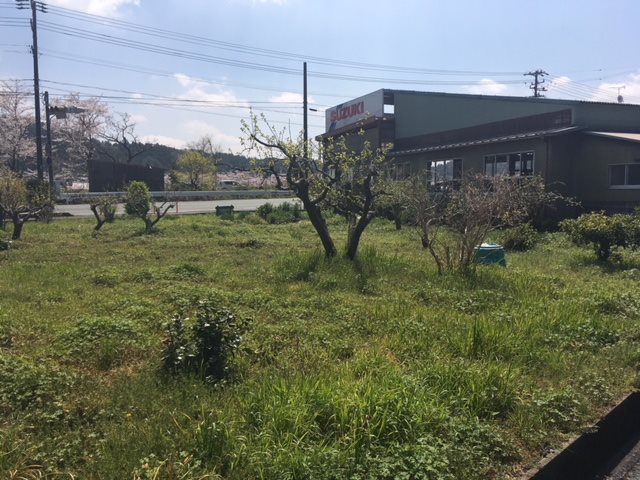 周智郡森町城下  その他
