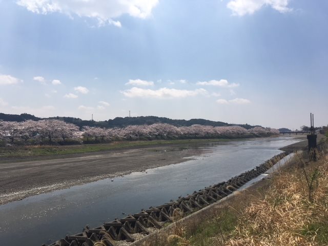 周智郡森町城下  その他
