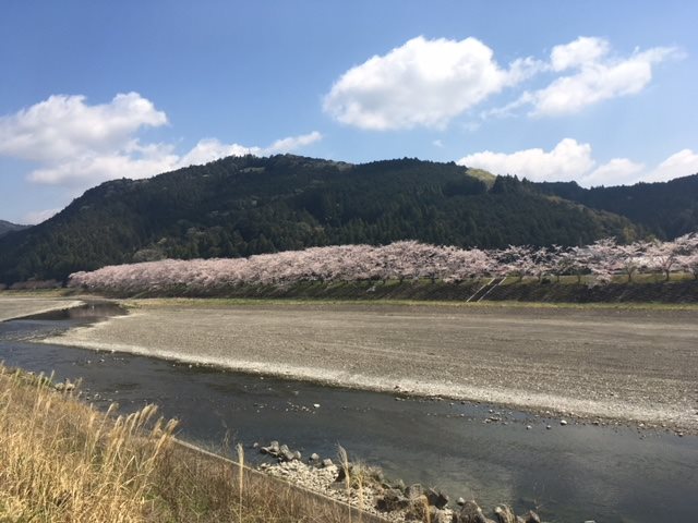 周智郡森町城下  その他