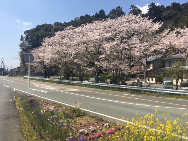 周智郡森町城下  その他
