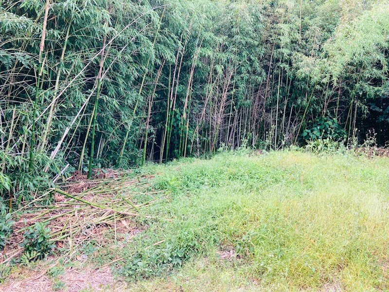 袋井市国本 その他