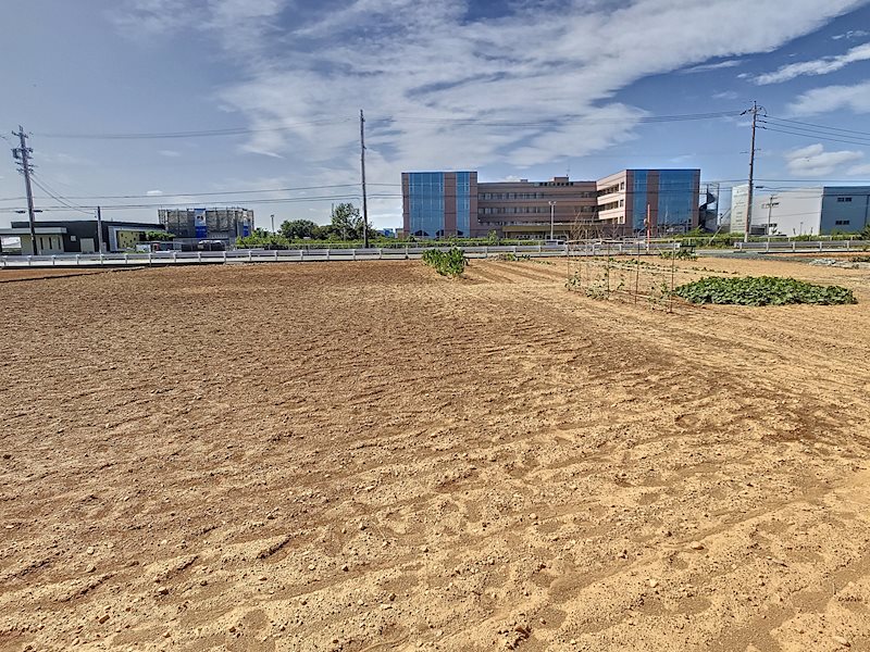 浜松市中央区豊岡町 その他