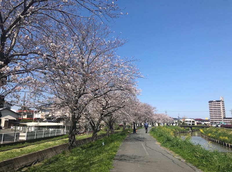 ナイスアーバン天王町 その他