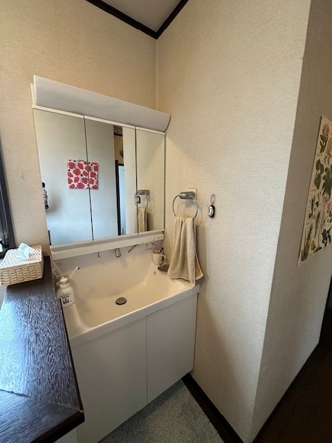浜松市中央区篠ケ瀬町 内観写真（洗面台・洗面所）