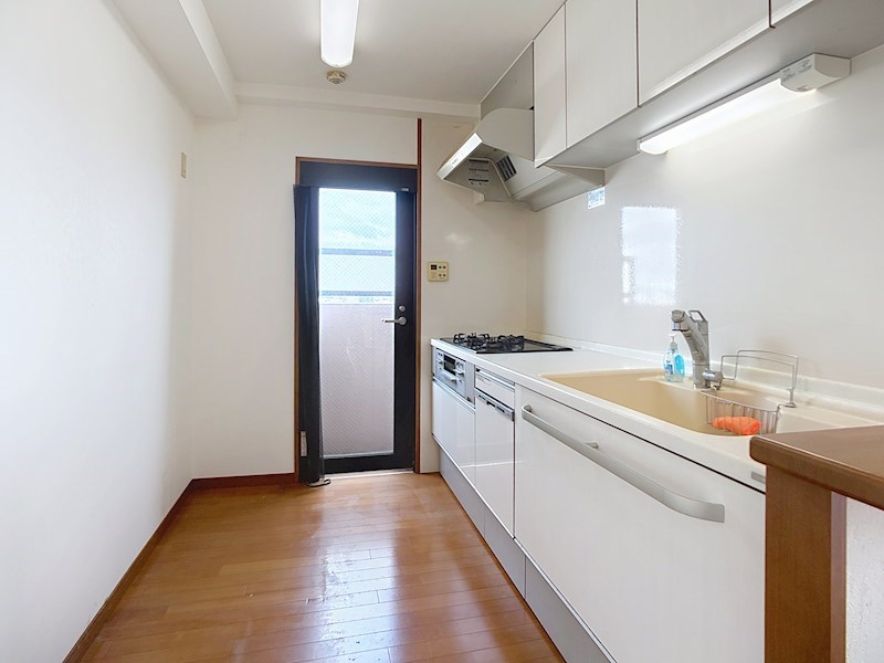 ネオステージ新津 1003号室 その他