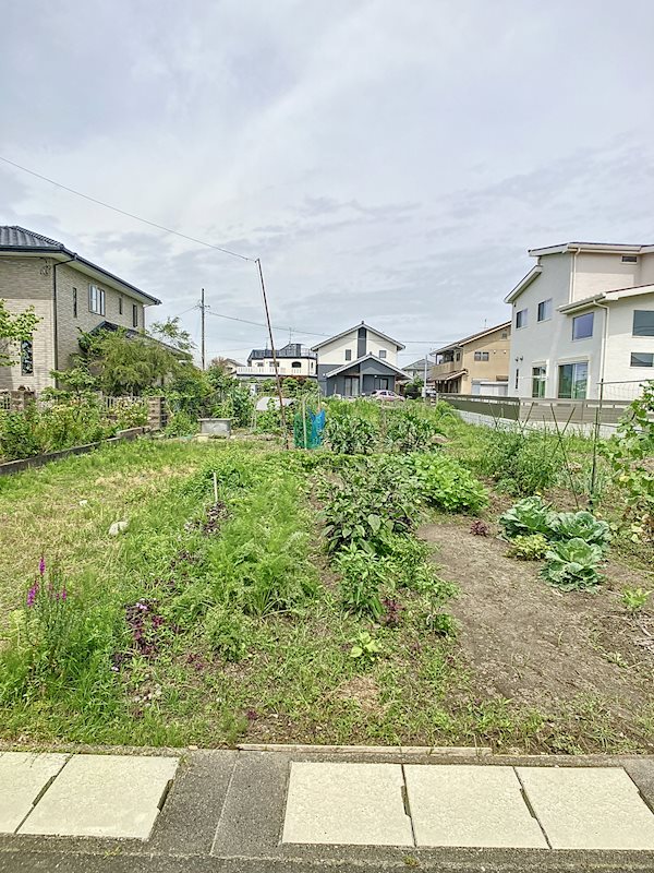 浜松市中央区積志町 その他