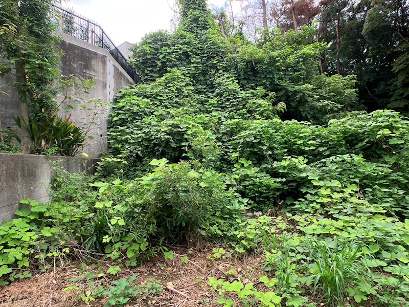 浜松市中央区幸2丁目 その他