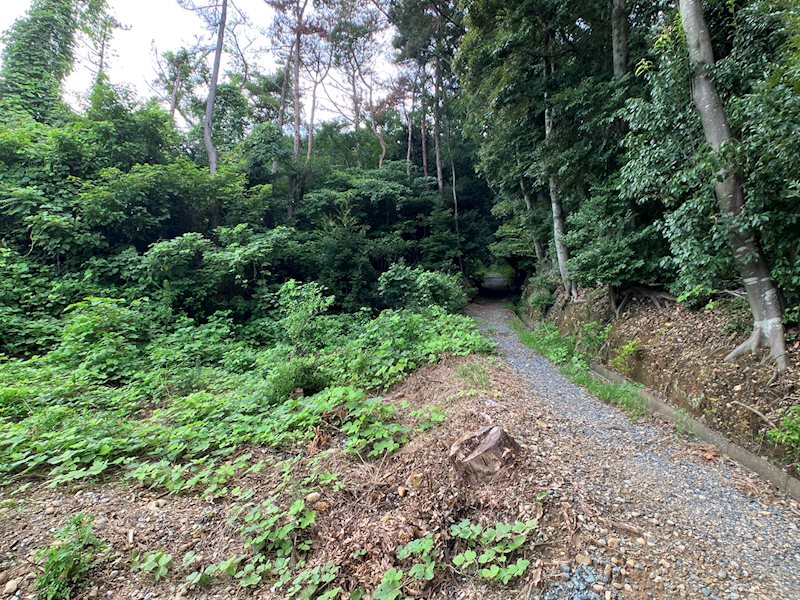 浜松市中央区幸2丁目 その他