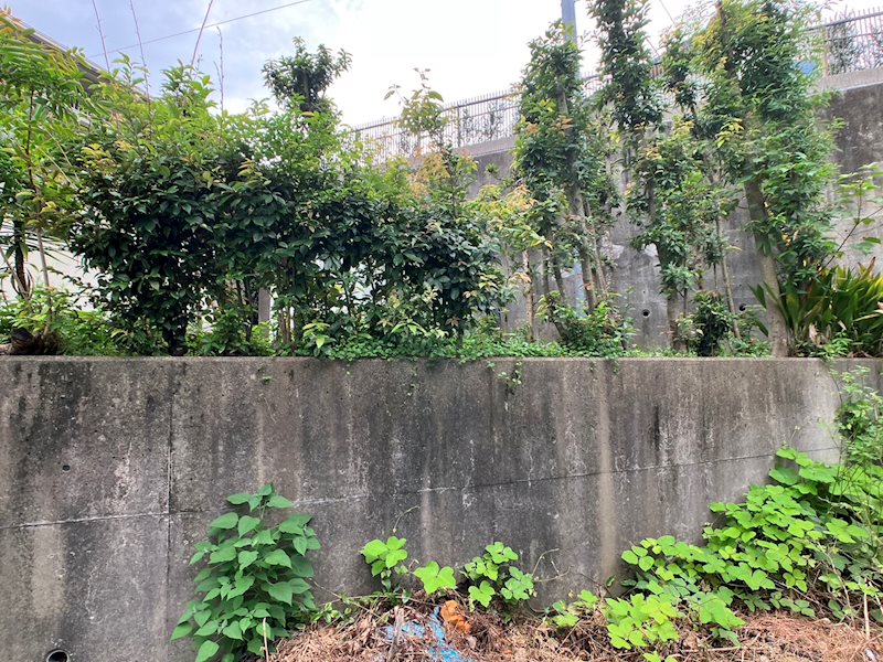 浜松市中央区幸2丁目 その他