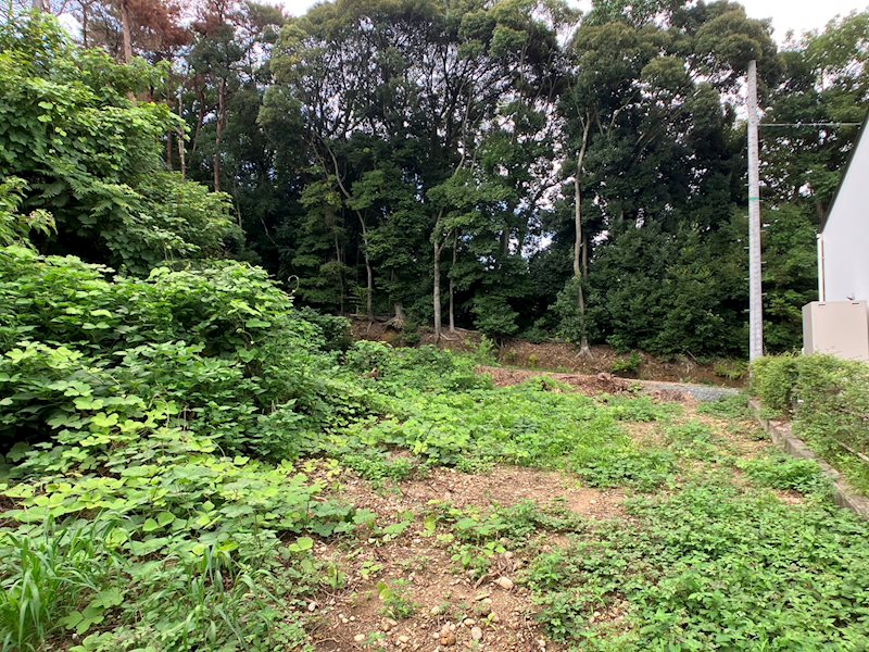 浜松市中央区幸2丁目 その他