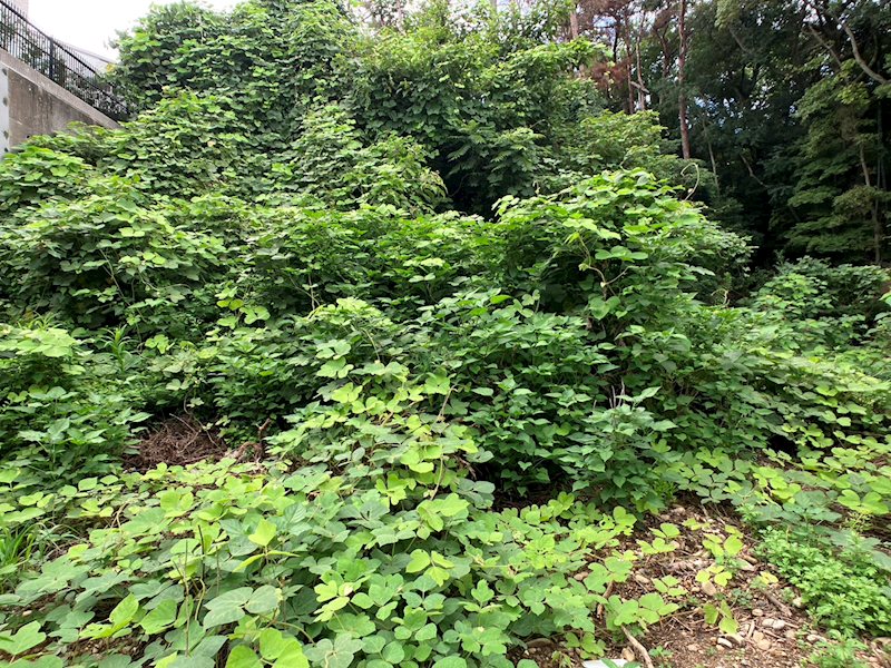 浜松市中央区幸2丁目 その他