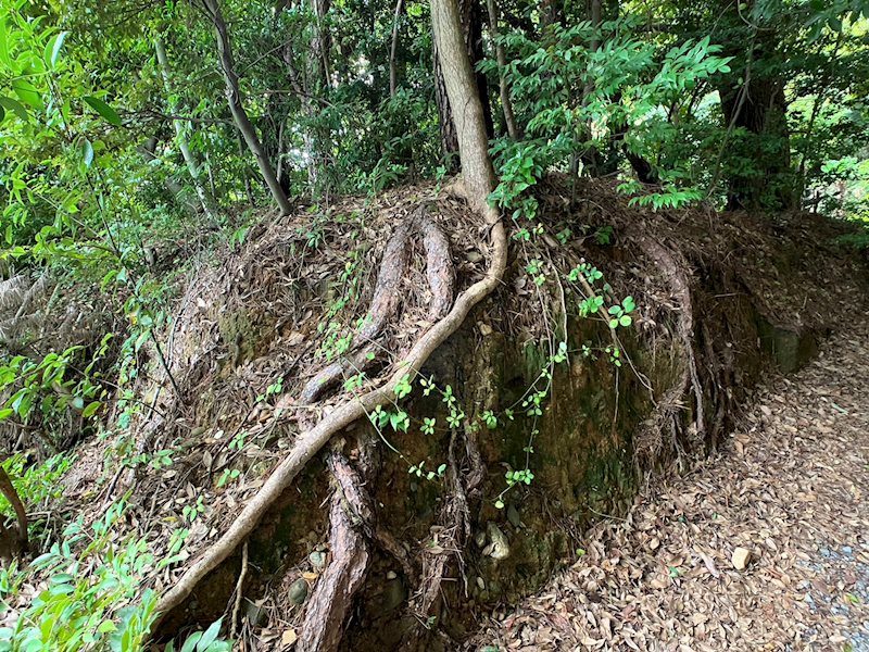 浜松市中央区幸2丁目 その他