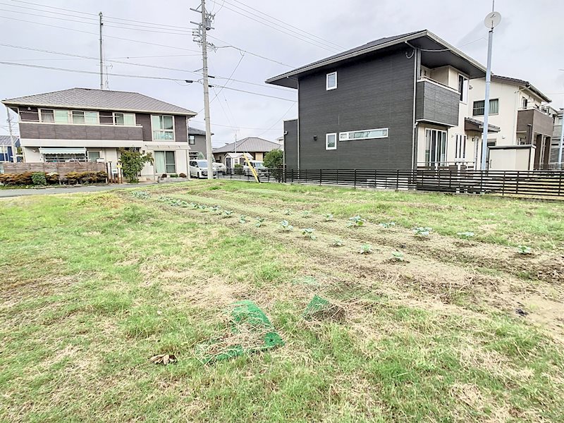 袋井市新池 その他