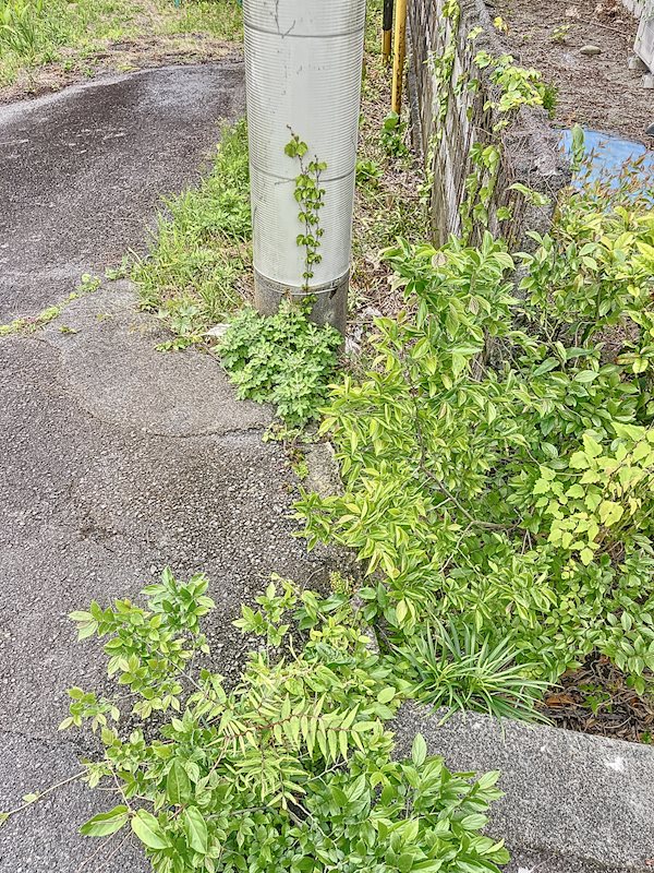 御前崎市池新田 その他