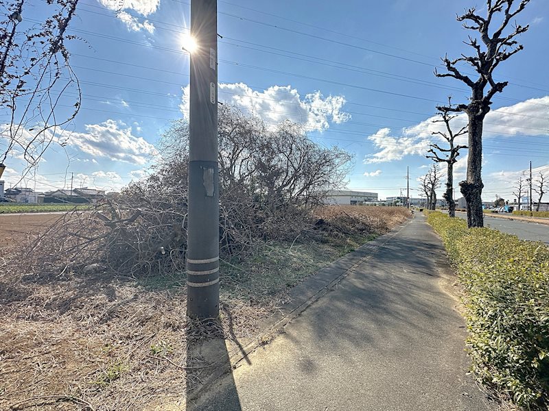 浜松市中央区西丘町 その他