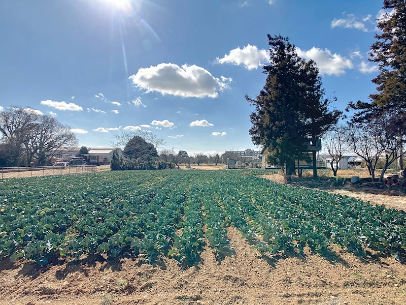 浜松市浜名区都田町 その他