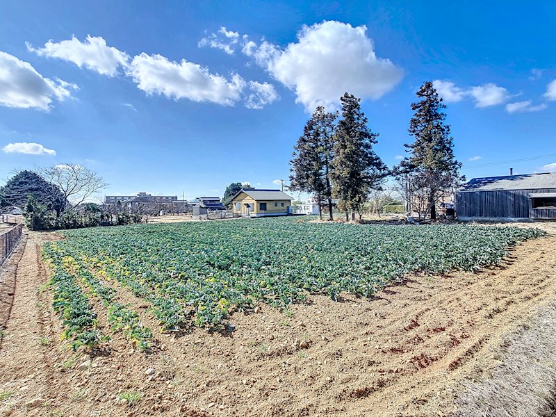 浜松市浜名区都田町 その他
