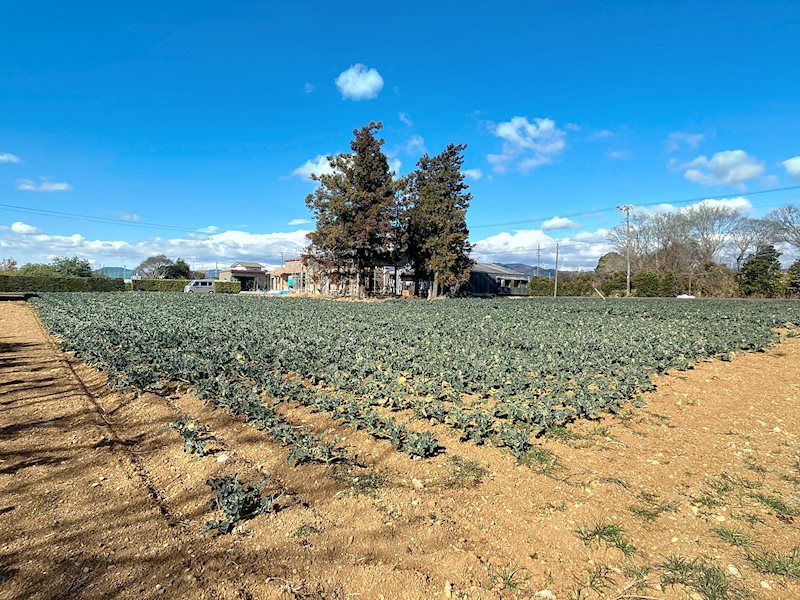 浜松市浜名区都田町 その他