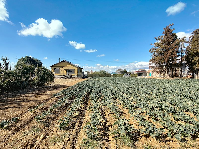 浜松市浜名区都田町 その他