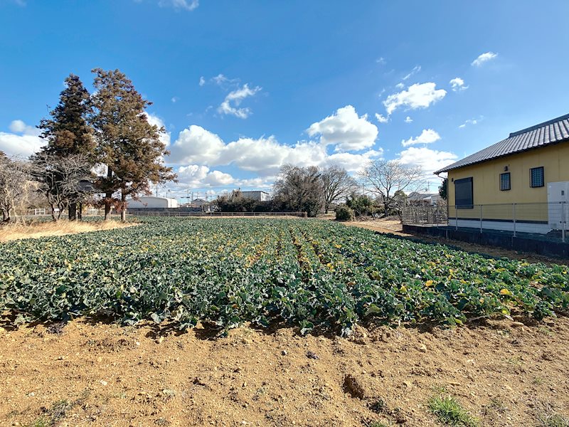 浜松市浜名区都田町 その他