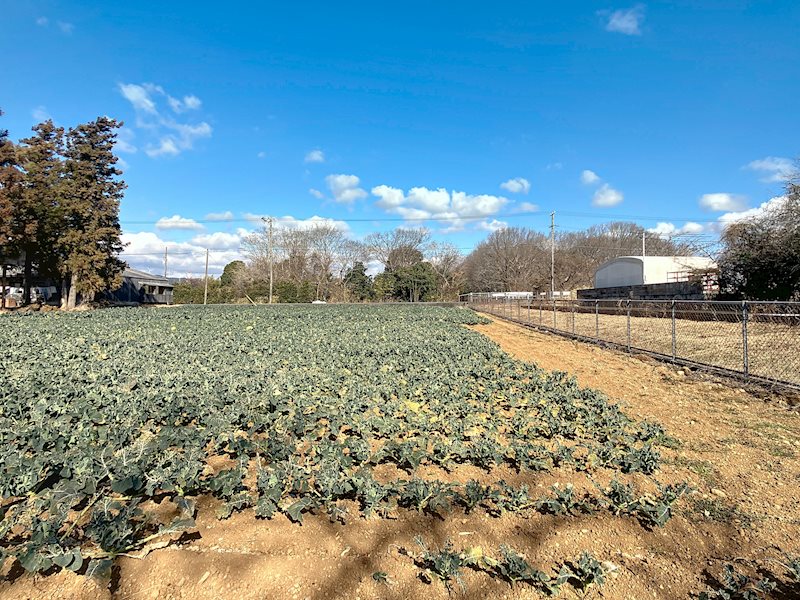 浜松市浜名区都田町 その他