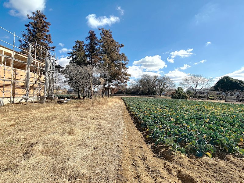 浜松市浜名区都田町 その他