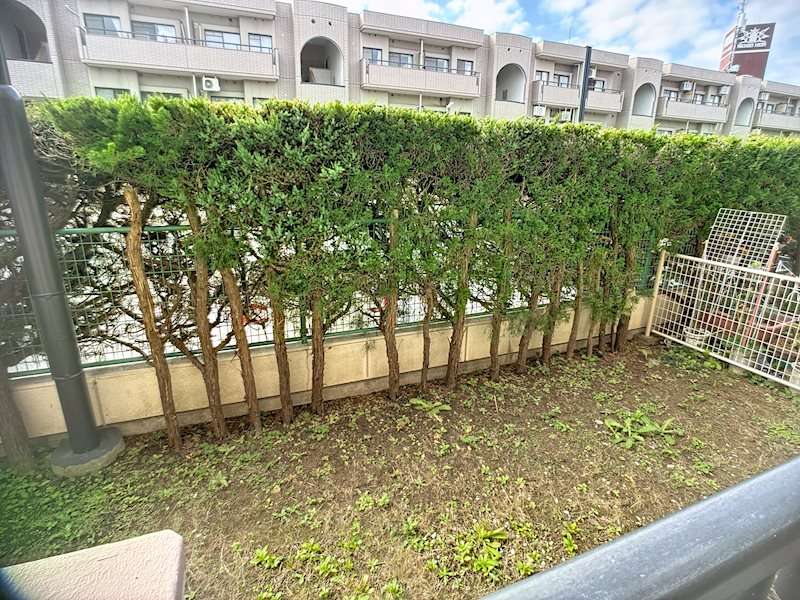 日栄ハイム・リバティ葵東壱番館 現地写真（庭）