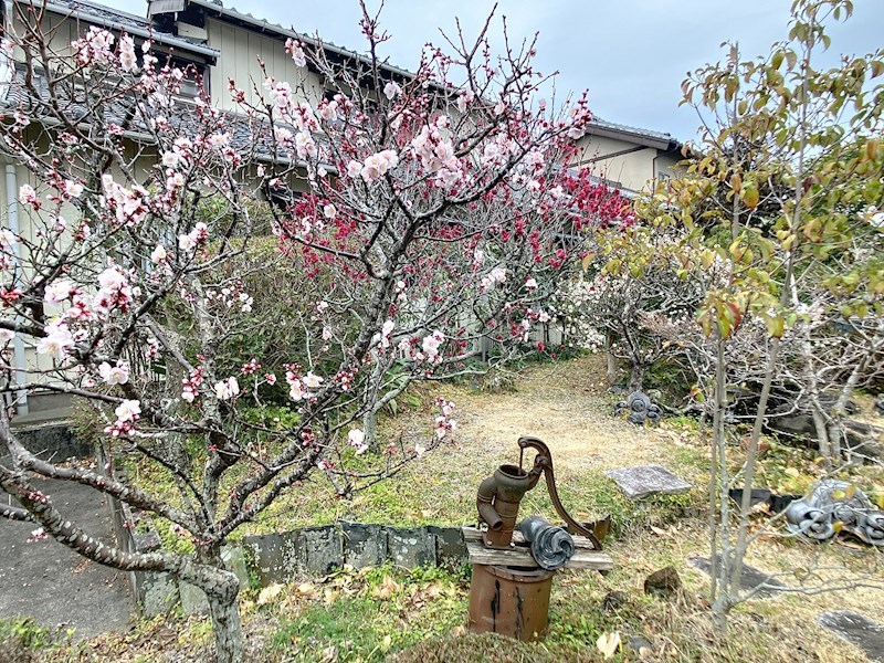 浜松市中央区古人見町 その他