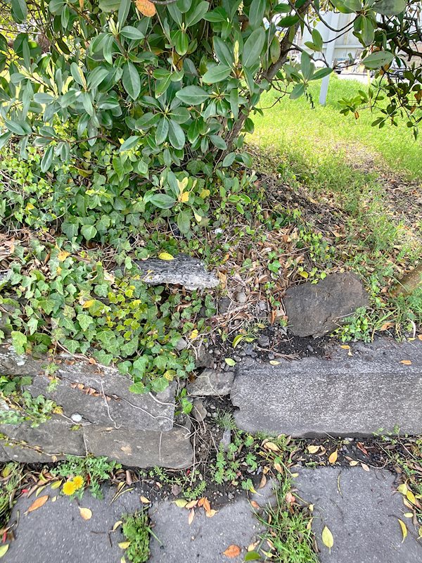 掛川市長谷 その他