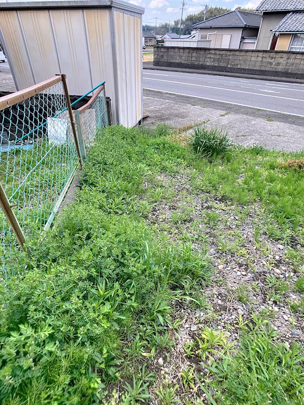 掛川市長谷 その他