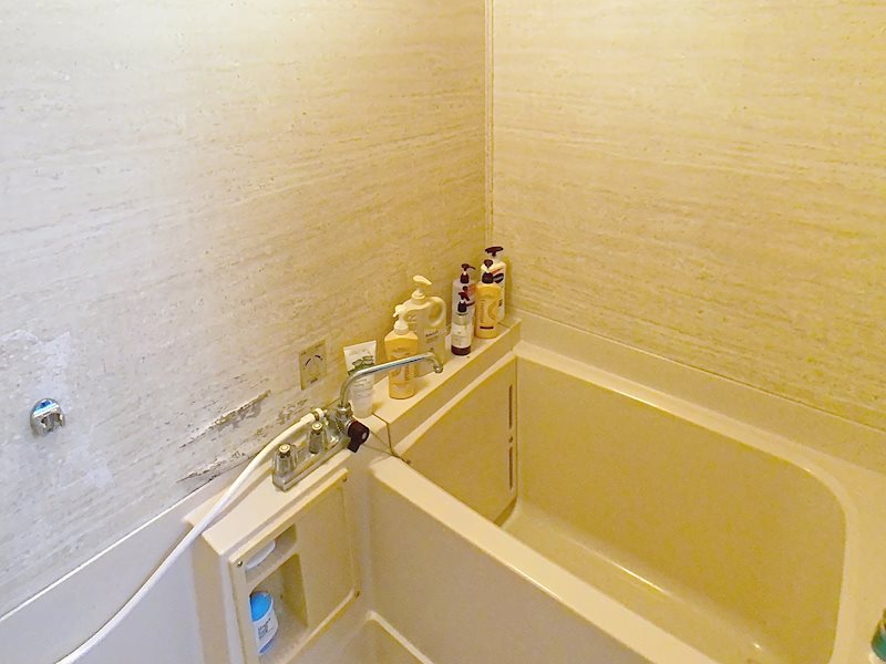 芳川ハイツ4号棟 その他