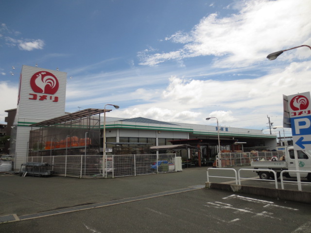 コメリハード&グリーン湖西店 周辺画像4
