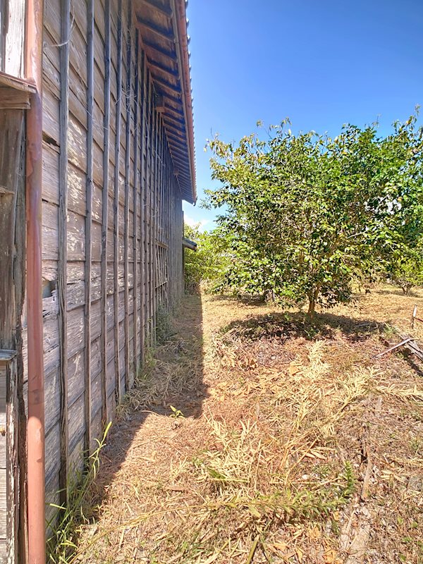 掛川市大坂 その他