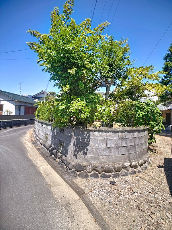 掛川市大坂 その他