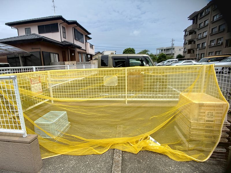 ロイヤルシャトー高林 その他