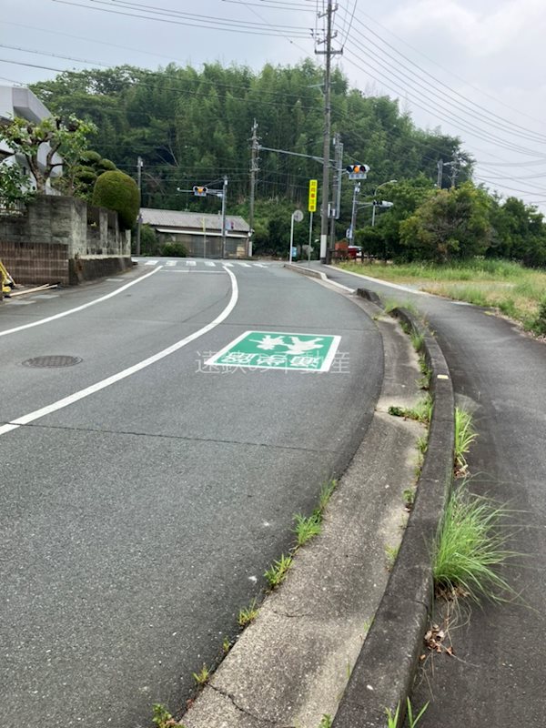 浜松市浜名区細江町中川 現地写真（前面道路含む現地写真）