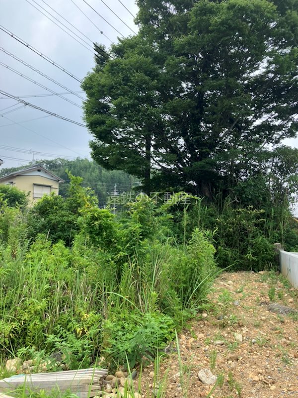 浜松市浜名区細江町中川 現地写真