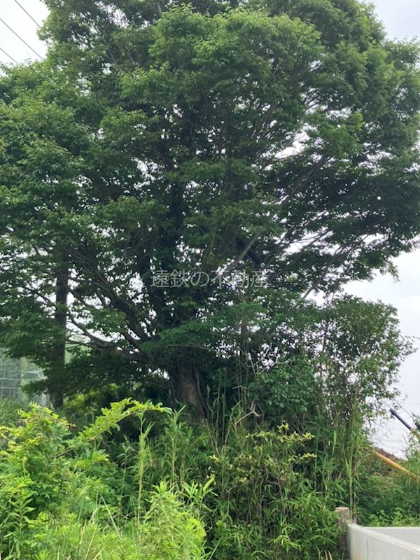 浜松市浜名区細江町中川 現地写真