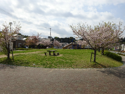 浜松市中央区桜台2丁目 公園