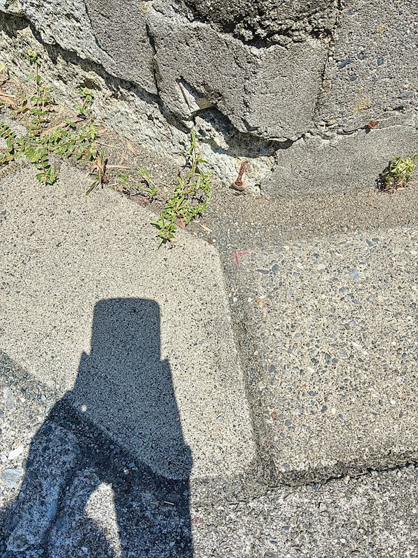 磐田市平間 その他