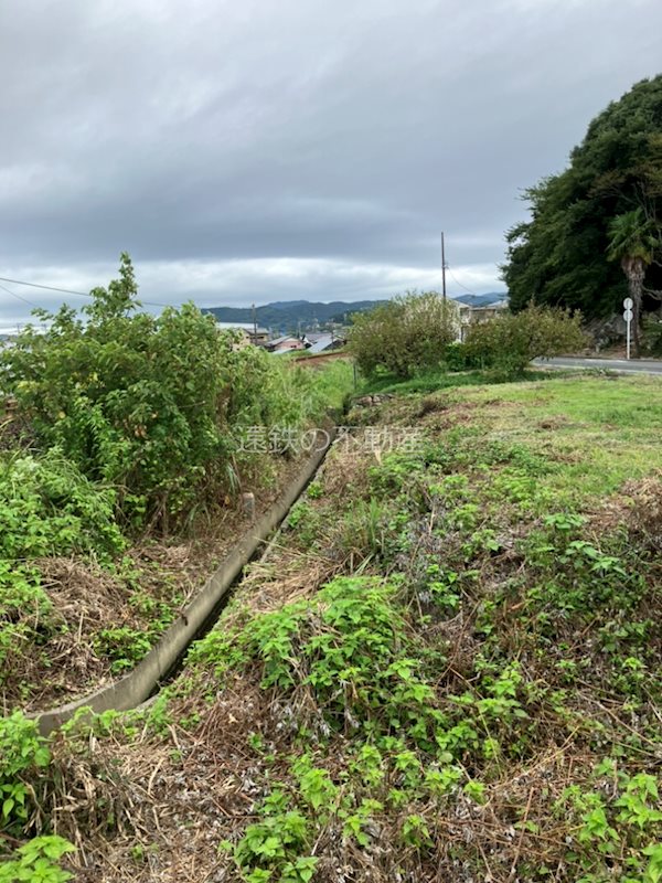 浜松市浜名区細江町三和 その他