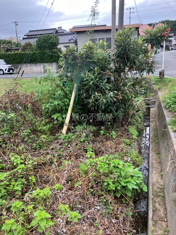 浜松市浜名区細江町三和 その他