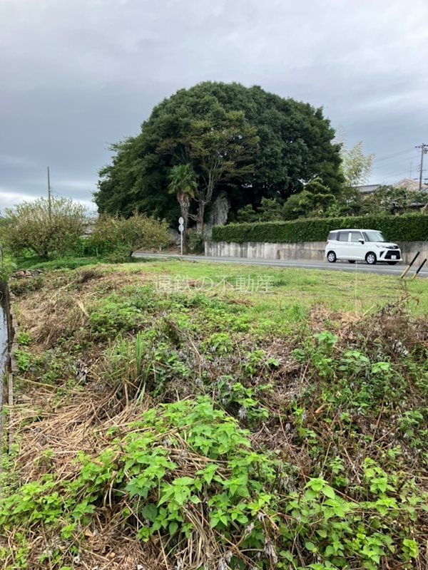 浜松市浜名区細江町三和 その他