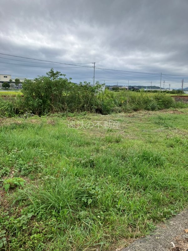 浜松市浜名区細江町三和 その他