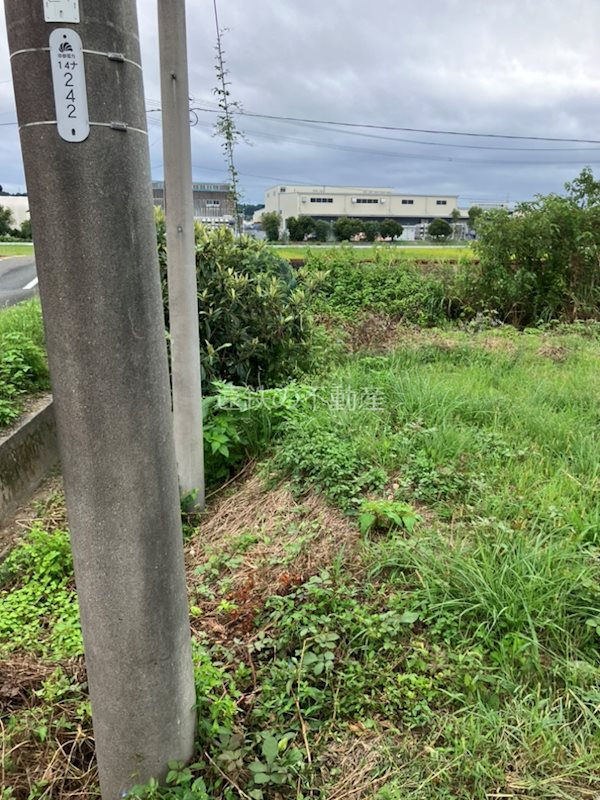 浜松市浜名区細江町三和 その他