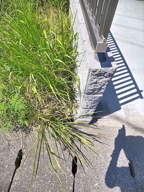 磐田市福田 その他