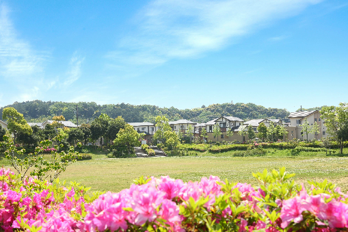 袋井市可睡の杜45-8 公園