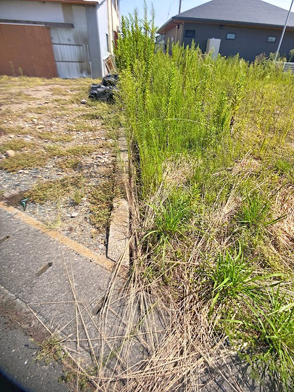 磐田市千手堂 その他