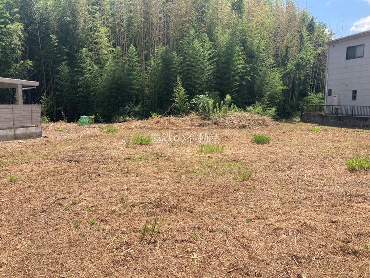 浜松市浜名区引佐町井伊谷 その他