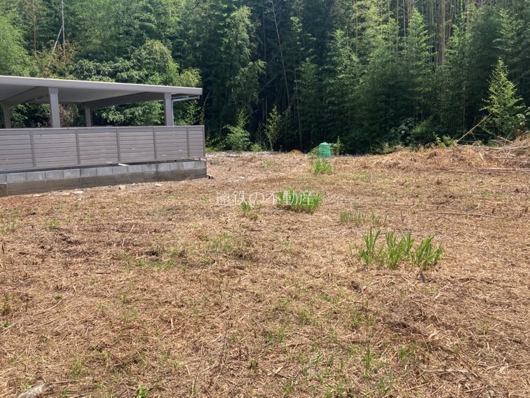 浜松市浜名区引佐町井伊谷 その他